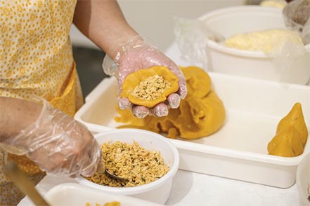 coxinha de frango _ fazer salgadinho na fritadeira elétrica