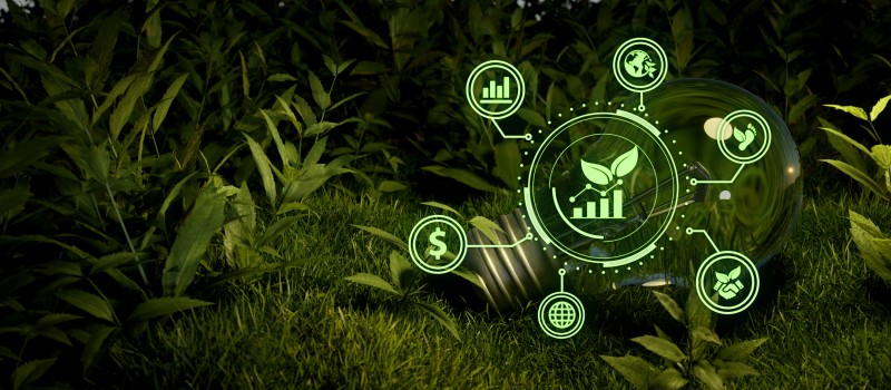 Patrimônio verde: a gestão técnica de 2,3 milhões de m² de Mata Atlântica preservada