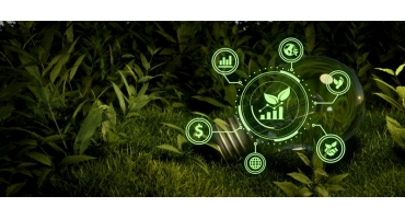 Patrimônio verde: a gestão técnica de 2,3 milhões de m² de Mata Atlântica preservada